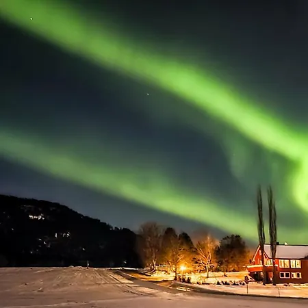 Koselig Ved Sjoen - Skjevikstranden *